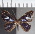  ( - CFC37576)  @11 [ ] copyright (2021) Center For Collection-Based Research Center For Collection-Based Research