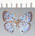  ( - CFC37627)  @11 [ ] copyright (2022) Center For Collection-Based Research Center For Collection-Based Research