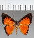  ( - CFC37640)  @11 [ ] copyright (2021) Center For Collection-Based Research Center For Collection-Based Research