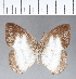  ( - CFC03808)  @13 [ ] Copyright (2018) Christer Fahraeus Center For Collection-Based Research
