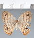  ( - CFC38295)  @11 [ ] copyright (2022) Center For Collection-Based Research Center For Collection-Based Research