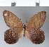  ( - CFC03836)  @11 [ ] Copyright (2018) Christer Fahraeus Center For Collection-Based Research