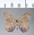  ( - CFC03845)  @11 [ ] Copyright (2018) Christer Fahraeus Center For Collection-Based Research