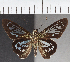  ( - CFC38494)  @11 [ ] copyright (2021) Center For Collection-Based Research Center For Collection-Based Research
