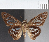  ( - CFC38546)  @11 [ ] copyright (2021) Center For Collection-Based Research Center For Collection-Based Research