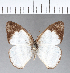  ( - CFC03888)  @13 [ ] Copyright (2018) Christer Fahraeus Center For Collection-Based Research