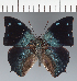  ( - CFC38983)  @11 [ ] copyright (2023) Center For Collection-Based Research Center For Collection-Based Research