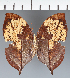  ( - CFC38989)  @11 [ ] copyright (2023) Center For Collection-Based Research Center For Collection-Based Research