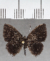  ( - CFC39002)  @11 [ ] copyright (2021) Center For Collection-Based Research Center For Collection-Based Research