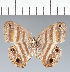  ( - CFC03934)  @11 [ ] copyright (2022) Center For Collection-Based Research Center For Collection-Based Research