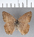  ( - CFC03936)  @11 [ ] Copyright (2018) Christer Fahraeus Center For Collection-Based Research
