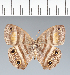  ( - CFC03939)  @11 [ ] copyright (2022) Center For Collection-Based Research Center For Collection-Based Research