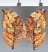  ( - CFC39397)  @11 [ ] copyright (2023) Center For Collection-Based Research Center For Collection-Based Research
