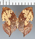  ( - CFC39408)  @11 [ ] copyright (2023) Center For Collection-Based Research Center For Collection-Based Research