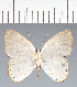  ( - CFC39548)  @11 [ ] copyright (2022) Center For Collection-Based Research Center For Collection-Based Research