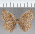  ( - CFC39585)  @11 [ ] copyright (2021) Center For Collection-Based Research Center For Collection-Based Research