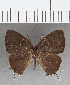  ( - CFC39638)  @11 [ ] copyright (2021) Center For Collection-Based Research Center For Collection-Based Research