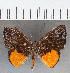  ( - CFC39643)  @11 [ ] copyright (2021) Center For Collection-Based Research Center For Collection-Based Research