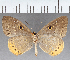  ( - CFC39698)  @11 [ ] copyright (2021) Center For Collection-Based Research Center For Collection-Based Research