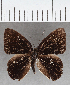  ( - CFC39755)  @11 [ ] copyright (2021) Center For Collection-Based Research Center For Collection-Based Research