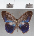  ( - CFC39868)  @11 [ ] copyright (2021) Center For Collection-Based Research Center For Collection-Based Research