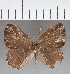  ( - CFC40139)  @11 [ ] copyright (2021) Center For Collection-Based Research Center For Collection-Based Research