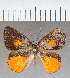  ( - CFC40140)  @11 [ ] copyright (2021) Center For Collection-Based Research Center For Collection-Based Research