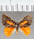  ( - CFC40314)  @11 [ ] copyright (2021) Center For Collection-Based Research Center For Collection-Based Research