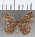  ( - CFC40341)  @11 [ ] copyright (2021) Center For Collection-Based Research Center For Collection-Based Research
