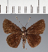  ( - CFC40354)  @11 [ ] copyright (2023) Center For Collection-Based Research Center For Collection-Based Research