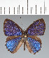  ( - CFC40529)  @11 [ ] copyright (2022) Center For Collection-Based Research Center For Collection-Based Research