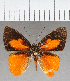  ( - CFC40531)  @11 [ ] copyright (2021) Center For Collection-Based Research Center For Collection-Based Research