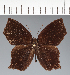  ( - CFC40566)  @11 [ ] copyright (2022) Center For Collection-Based Research Center For Collection-Based Research