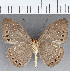  ( - CFC40658)  @11 [ ] copyright (2021) Center For Collection-Based Research Center For Collection-Based Research