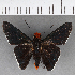  ( - CFC04076)  @11 [ ] Copyright (2019) Christer Fahraeus Center For Collection-Based Research