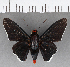 ( - CFC04082)  @11 [ ] Copyright (2019) Christer Fahraeus Center For Collection-Based Research