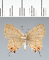  ( - CFC41929)  @11 [ ] copyright (2022) Center For Collection-Based Research Center For Collection-Based Research