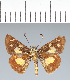  ( - CFC41978)  @11 [ ] copyright (2022) Center For Collection-Based Research Center For Collection-Based Research