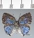  ( - CFC41993)  @11 [ ] copyright (2022) Center For Collection-Based Research Center For Collection-Based Research