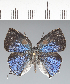  ( - CFC41999)  @11 [ ] copyright (2022) Center For Collection-Based Research Center For Collection-Based Research
