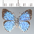  ( - CFC42021)  @11 [ ] copyright (2022) Center For Collection-Based Research Center For Collection-Based Research