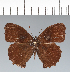 ( - CFC42023)  @11 [ ] copyright (2022) Center For Collection-Based Research Center For Collection-Based Research