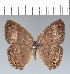  ( - CFC42037)  @11 [ ] copyright (2022) Center For Collection-Based Research Center For Collection-Based Research