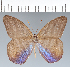  ( - CFC42038)  @11 [ ] copyright (2022) Center For Collection-Based Research Center For Collection-Based Research