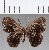  ( - CFC04211)  @11 [ ] Copyright (2019) Christer Fahraeus Center For Collection-Based Research
