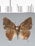  ( - CFC42136)  @11 [ ] copyright (2022) Center For Collection-Based Research Center For Collection-Based Research