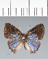  ( - CFC42140)  @11 [ ] copyright (2022) Center For Collection-Based Research Center For Collection-Based Research