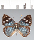  ( - CFC42197)  @11 [ ] copyright (2022) Center For Collection-Based Research Center For Collection-Based Research