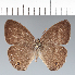  ( - CFC42222)  @11 [ ] copyright (2022) Center For Collection-Based Research Center For Collection-Based Research