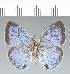  ( - CFC42232)  @11 [ ] copyright (2022) Center For Collection-Based Research Center For Collection-Based Research